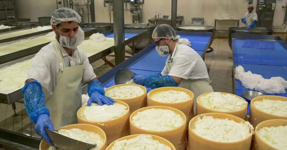 Dazi: i settori automotive e agroalimentare nel mirino di Trump, ecco le conseguenze esplosive!
